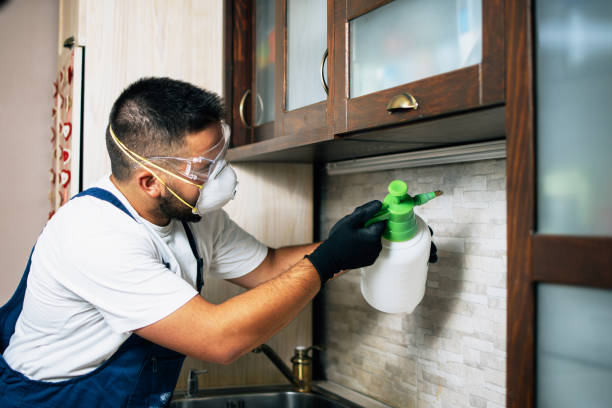Best Best Pest Control Companies  in Wakarusa, IN