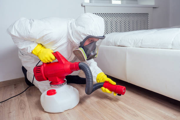 Best Termite Control Services  in Wakarusa, IN
