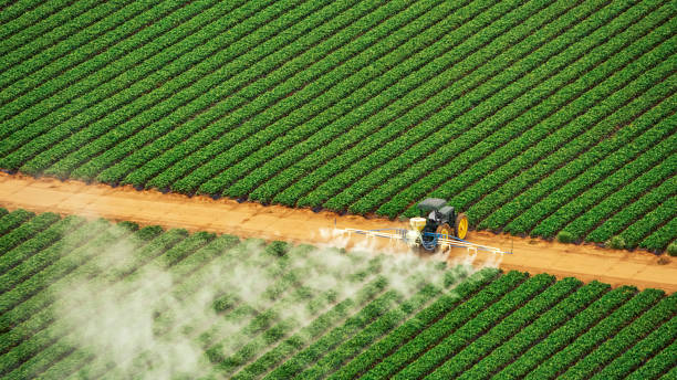 Best Pest Removal Services  in Wakarusa, IN
