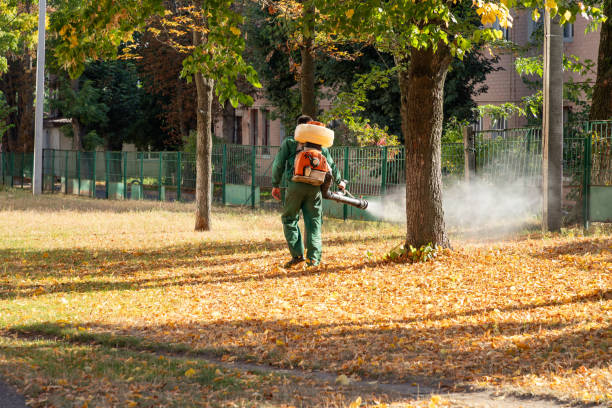 Trusted Wakarusa, IN Pest Control Experts