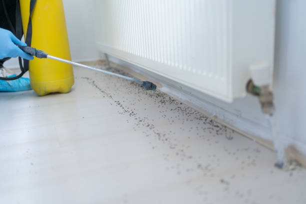Best Best Pest Control Companies  in Wakarusa, IN