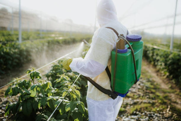 Best Wasp Removal Services  in Wakarusa, IN